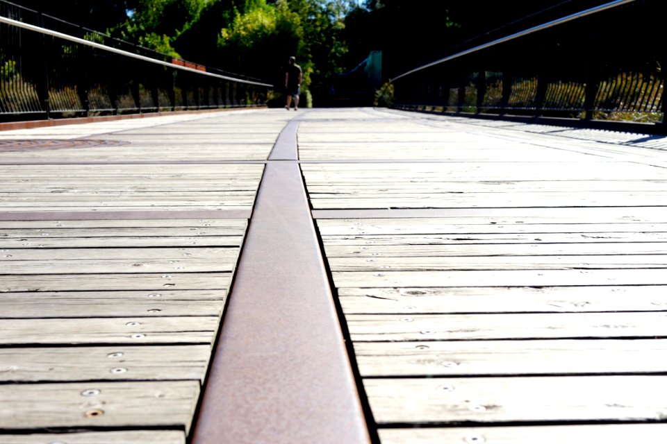 Path Wood Walkway Line