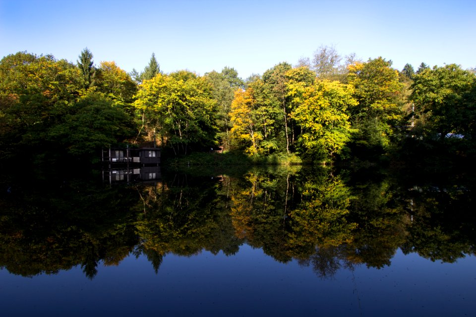 Reflection Waterway Nature Vegetation