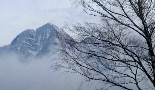 Sky Tree Mountainous Landforms Winter