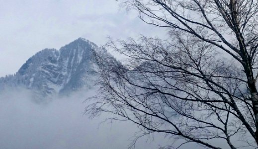 Sky Tree Mountainous Landforms Winter photo