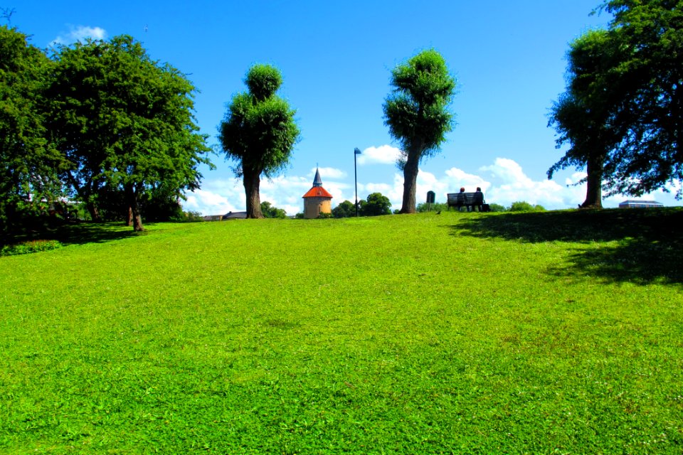 Sky Grassland Nature Green