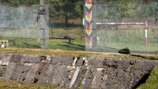 Wall Grass Chain Link Fencing Fence photo