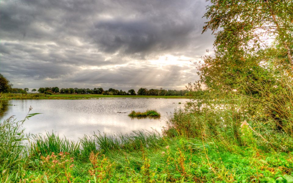 Nature Water Nature Reserve Wetland