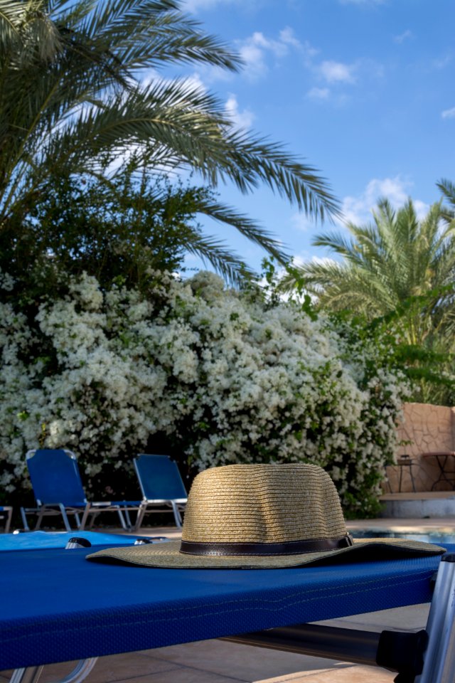 Resort Property Swimming Pool Arecales
