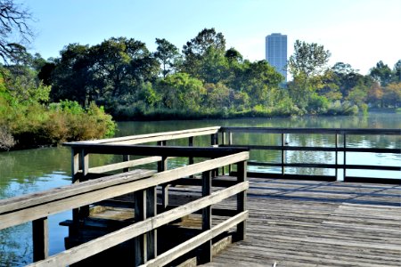 Water Dock Tree Boardwalk
