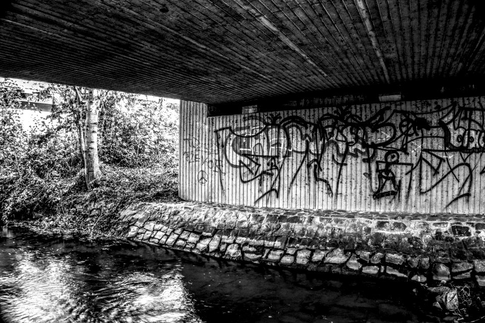 Water Reflection Black And White Tree photo