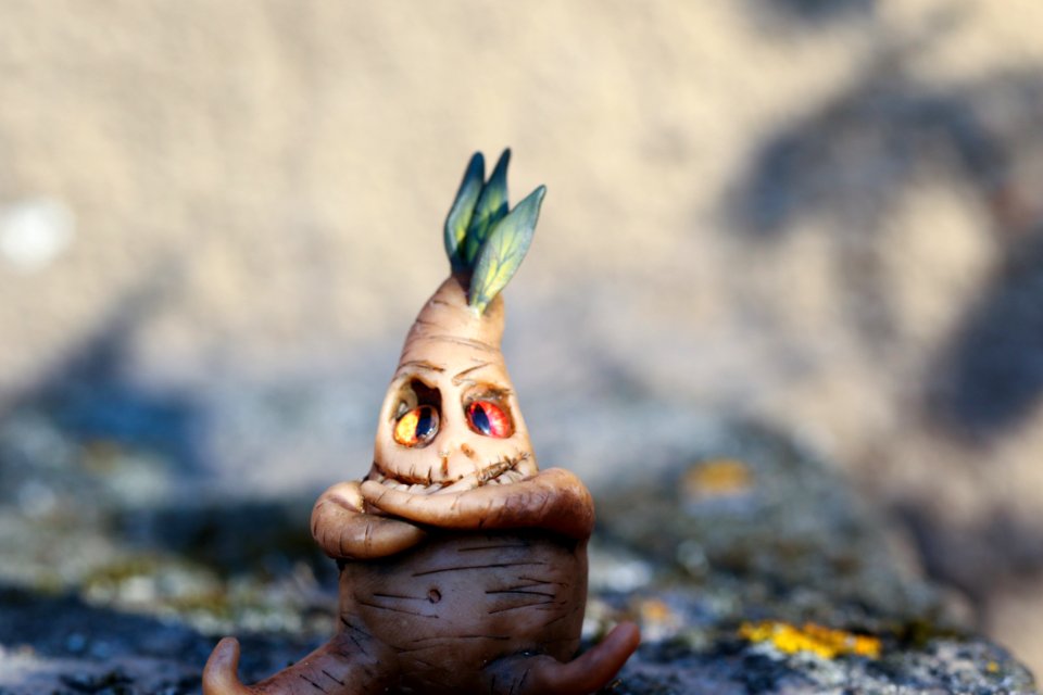 Close Up Plant Grass Lawn Ornament