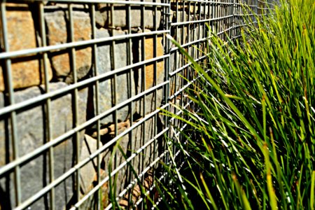 Grass Iron Plant Fence