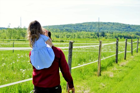 Photograph Green Nature Grassland photo