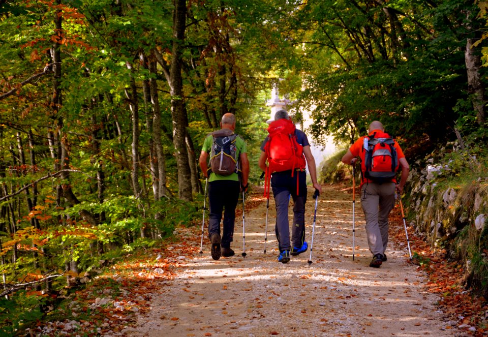 Path Wilderness Outdoor Recreation Hiking