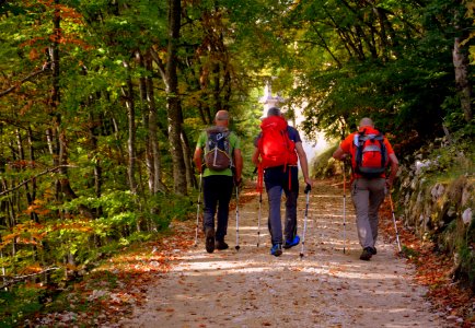 Path Wilderness Outdoor Recreation Hiking