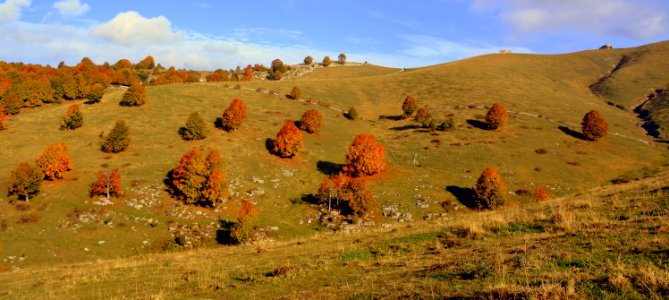 Ecosystem Wilderness Shrubland Grassland photo