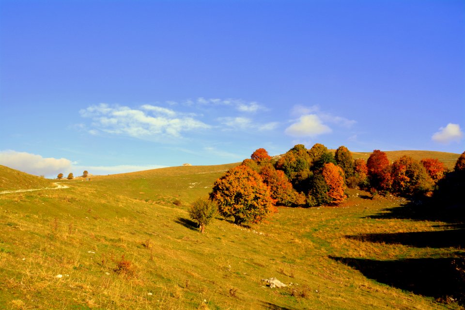 Grassland Sky Highland Ecosystem photo