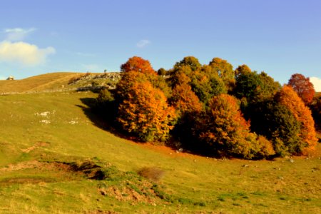 Nature Sky Grassland Leaf