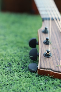 Green music instrument
