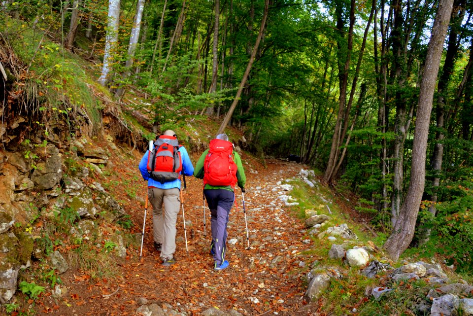 Path Nature Reserve Wilderness Hiking