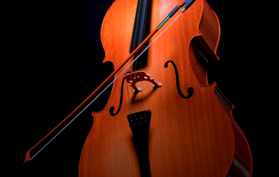 Musical Instrument Cello Double Bass Violin Family