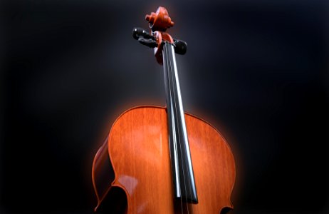 Cello Musical Instrument Violin Family String Instrument photo