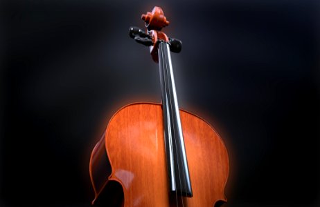Cello Musical Instrument Violin Family String Instrument