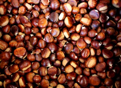 Chestnut Nuts amp Seeds Nut Hazelnut photo