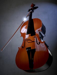 Musical Instrument Cello Double Bass Bass Violin photo