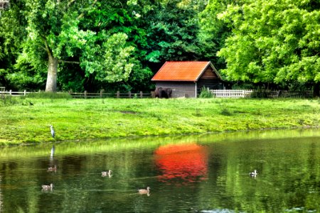 Reflection Water Nature Green