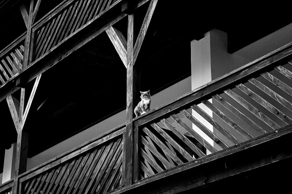 Black Black And White Monochrome Photography Structure