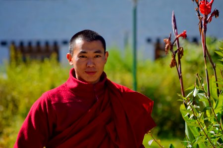 Red Plant Lama Monk