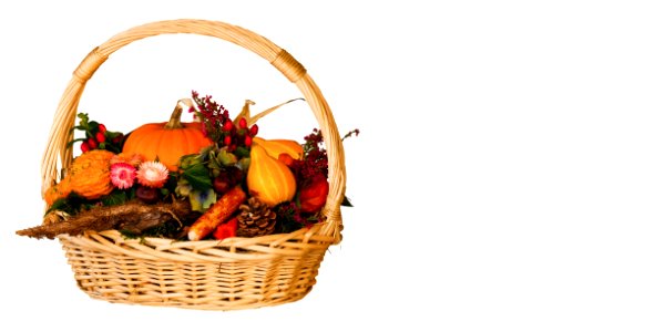 Basket Vegetable Flowerpot Fruit photo