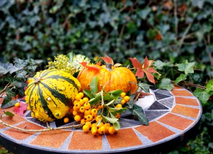 Vegetable Cucurbita Winter Squash Local Food photo