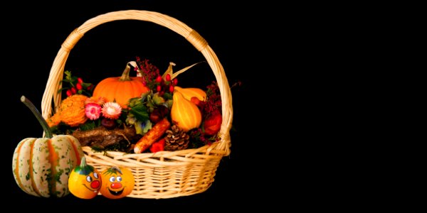 Vegetable Cucurbita Still Life Photography Still Life