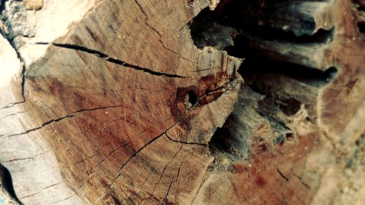 Wood Geology Rock Texture photo