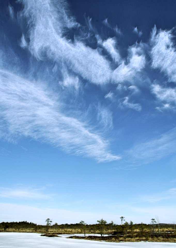 Scenic View Of The Sky