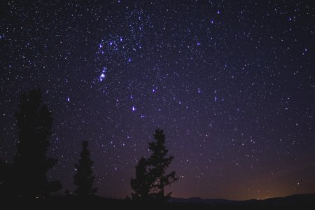 Silhouette Of Trees During Night Time