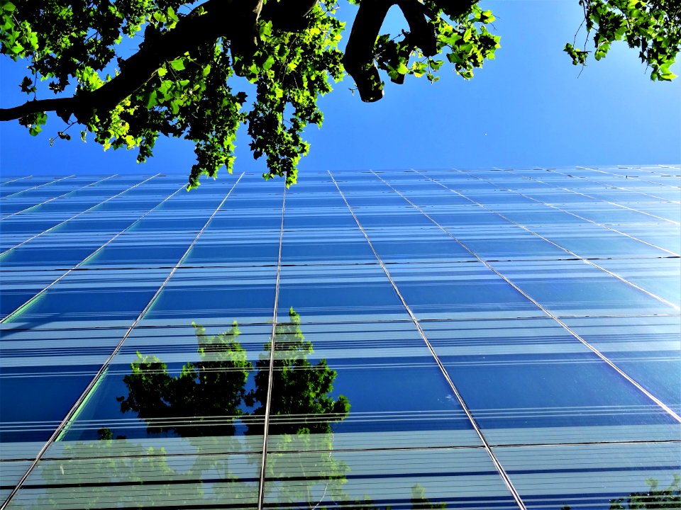 Low Angle Photography Of Building Near Tree photo