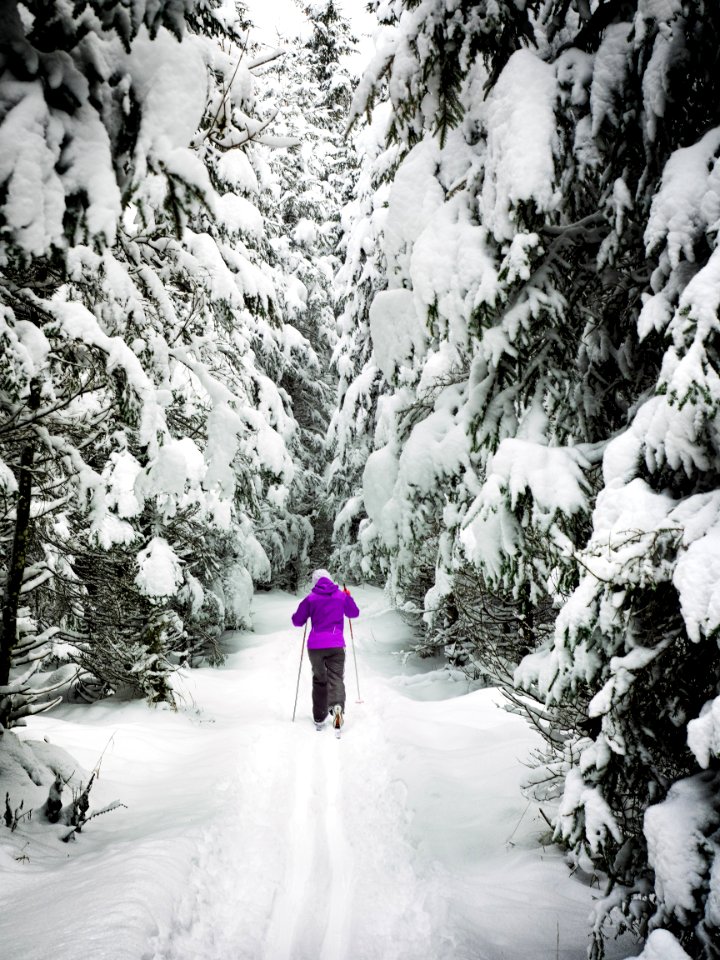 Woman On Snow Ground In The Forest With Rods
