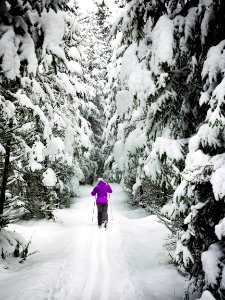 Woman On Snow Ground In The Forest With Rods photo