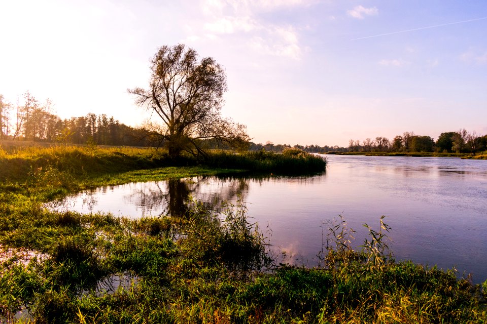 Body Of Water And Green Plants Under Blue Sky