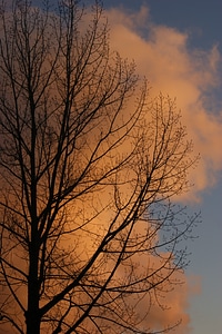 Sky sunset winter photo