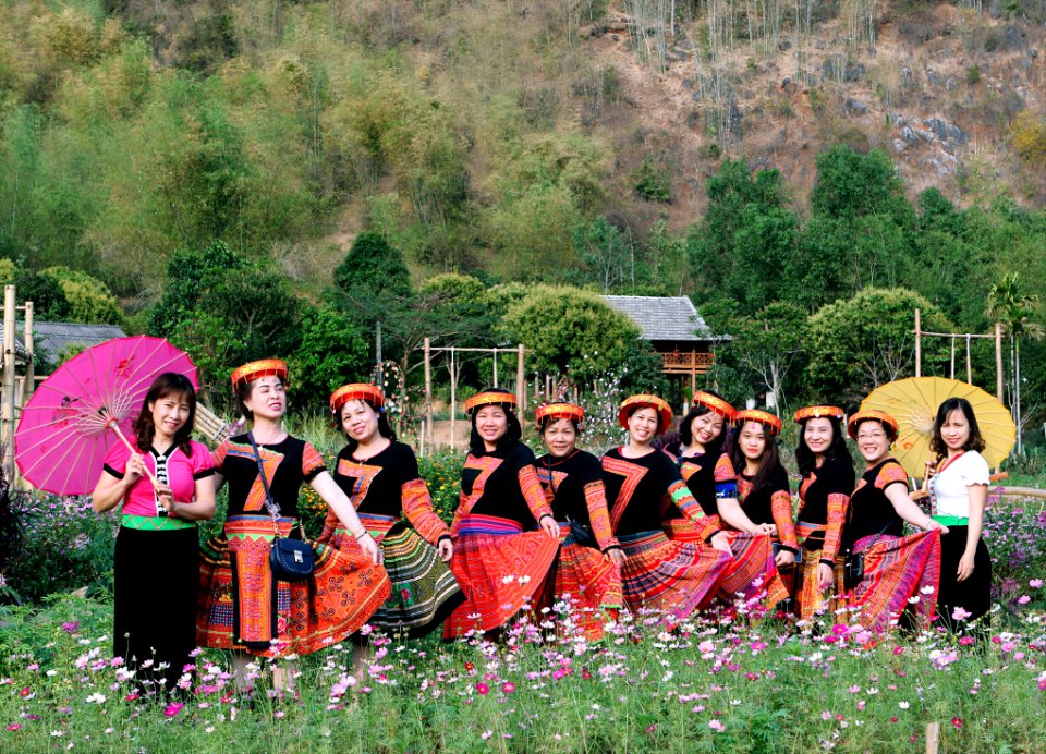 Women Standing In The Middle Of Pink Flower Field