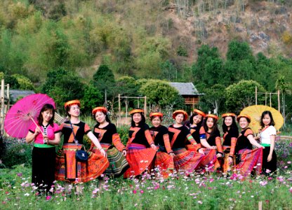 Women Standing In The Middle Of Pink Flower Field