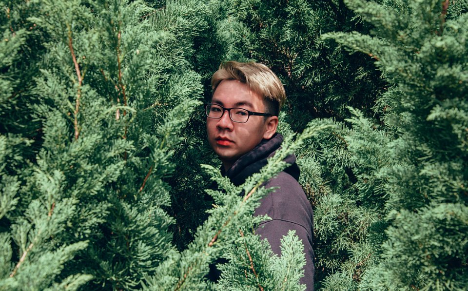 Photography Of Man Between Pine Trees