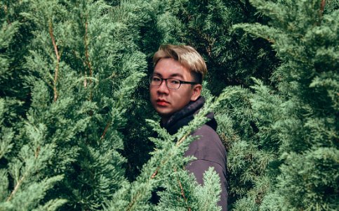 Photography Of Man Between Pine Trees