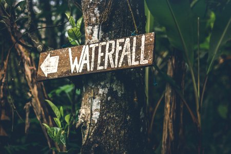 Brown Wooden Waterfall Direction Sign Placed On Brown Tree Bark