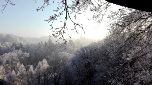 Sky Winter Tree Frost photo