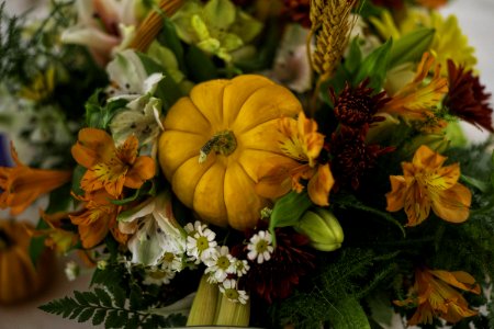 Flower Floristry Flower Arranging Winter Squash photo