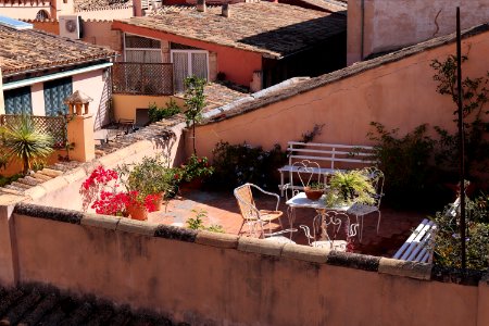 Property Residential Area Plant Flower