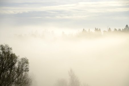 Fog Sky Mist Morning photo