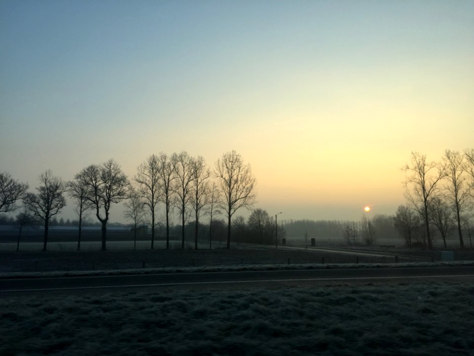 Sky Dawn Tree Sunrise