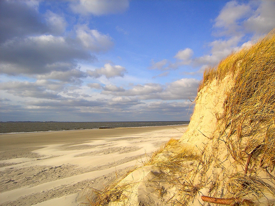 Beach sea north sea